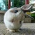 hiroshi