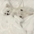 ねこ