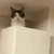 くろべえ
