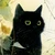 くろいねこ