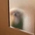 みー