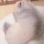 ゆきち