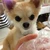 ゆき