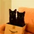 kuroshirocats