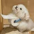 keiki_