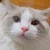 あやね