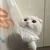 かほ