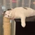 はるな
