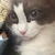 うーたん