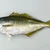 sakanakiraikamo