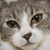 たかゆ