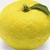 Citrusjunos24