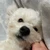 り