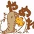 dodo