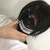 シイロ