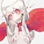 shino