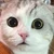 ゆきちゆきち