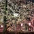 kanta0323