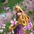 Vesper_0223