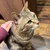 みょーん