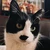 Jimina