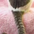 ざいつ