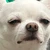 sumire