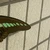 しんたろー