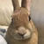 みずぐちなつみ