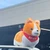 シロ