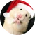 ゆちこ