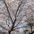 輪花