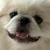 さしみ