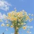 モグモグ