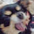 いももち