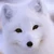 ひろ
