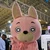 aminmi_oh
