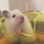 あおみぃ