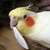 あやか