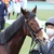 Sachidon