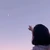 惑星