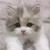 ぽんずちゃん