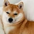 おすし