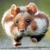 ゆり
