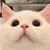 みっこ