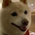 かの