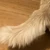 Rui高3