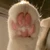 たかたか
