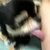 かたつもり