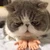 ひかる